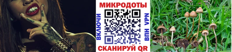 Галлюциногенные грибы Cubensis  ОМГ ОМГ ССЫЛКА  Яранск 